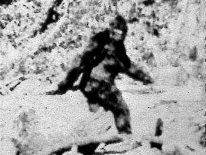 big_foot_exhibit2.jpg