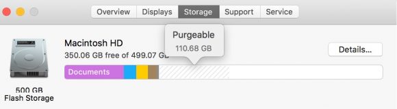 Screenshot of Disk Utility showing Purgeable part of volume