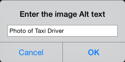 image alt text dialog