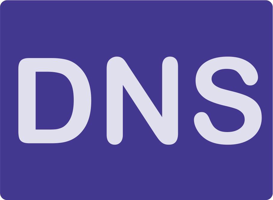 DNS logo