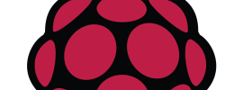 Raspberry Pi logo